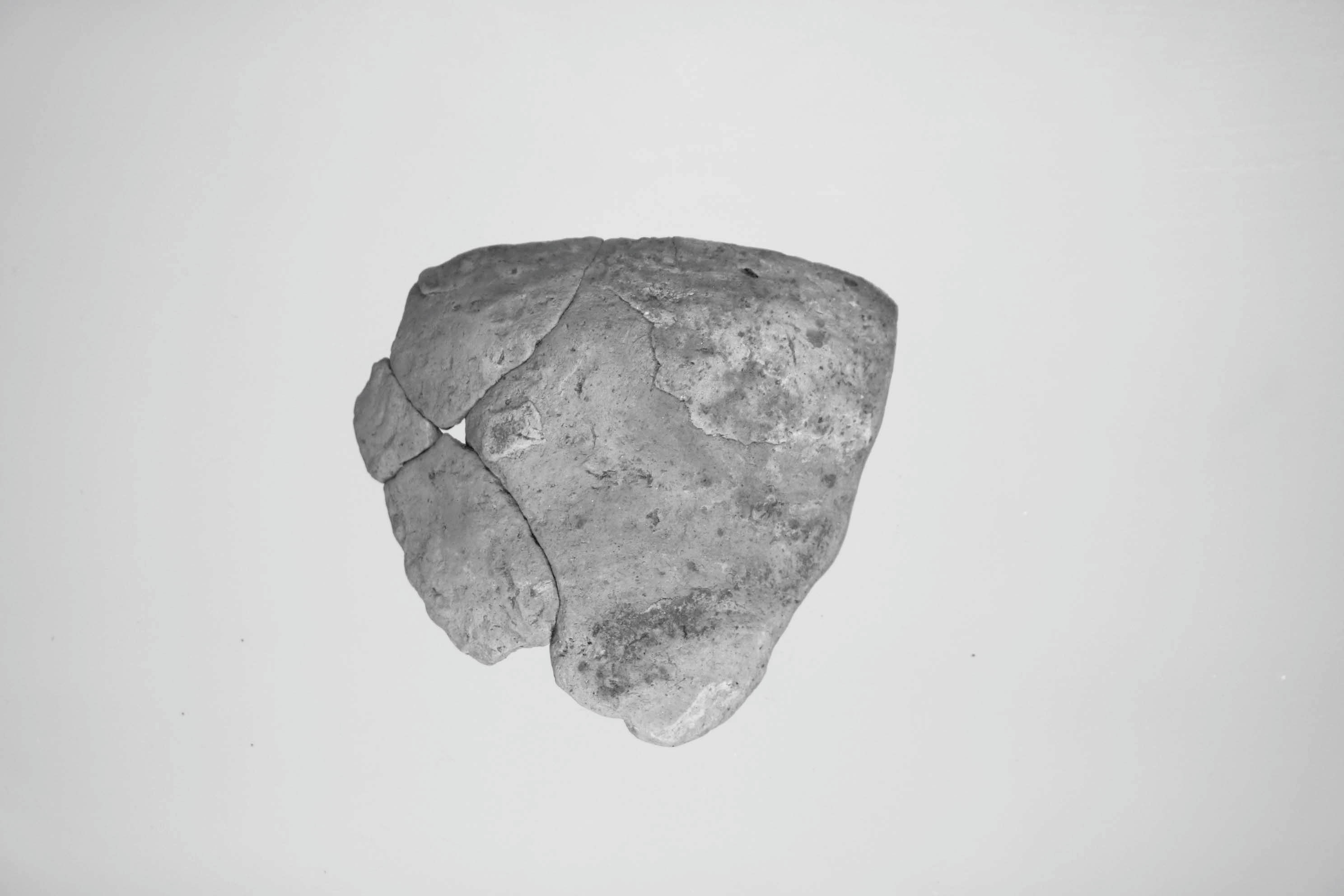 前津辰池山遺跡